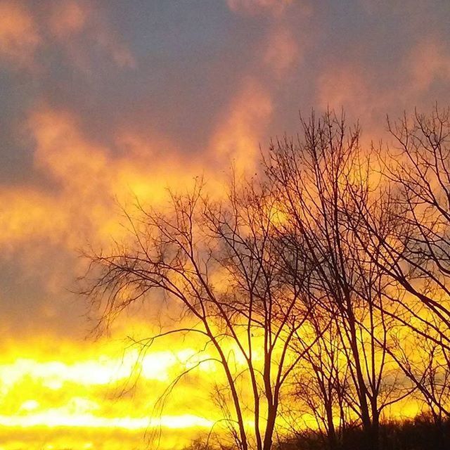 sunset, bare tree, silhouette, tree, sky, orange color, beauty in nature, tranquility, scenics, low angle view, branch, tranquil scene, cloud - sky, nature, dramatic sky, idyllic, outdoors, no people, cloud, majestic