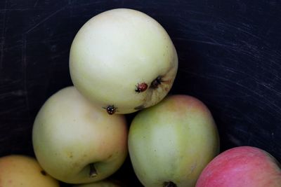 High angle view of apples on table