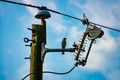 A bord perch amonsst a jumble of utility devices