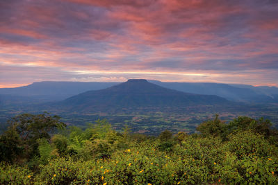 Scenic view of landscape against cloudy sky