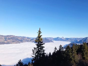 Scenic view of mountains against clear blue sky