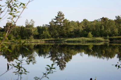 Reflection of trees in lake against sky