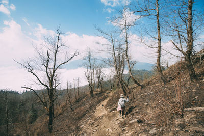 Rear view of bare trees on land