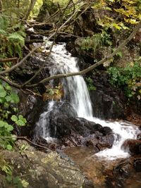 Stream flowing through rocks in forest