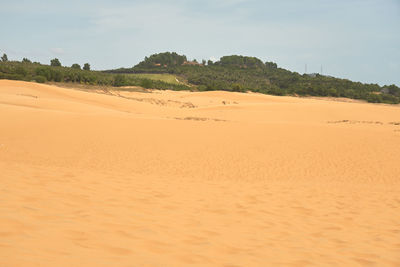 land