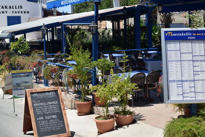 Potted plants in front of building