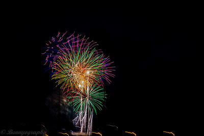 Low angle view of firework display at night