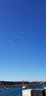 Seagull flying over sea against clear blue sky