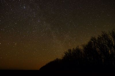 Low angle view of starry sky