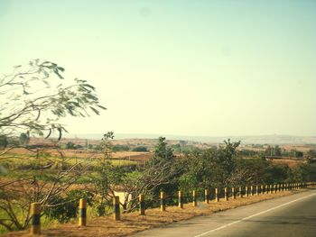 Trees on landscape against clear sky