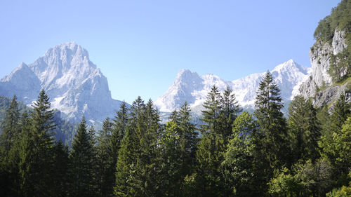 Low angle view of snowcapped mountain against sky