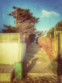 Footpath leading to building