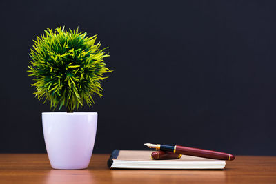 Close-up of potted plant on table against black background
