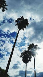 Low angle view of palm trees against cloudy sky