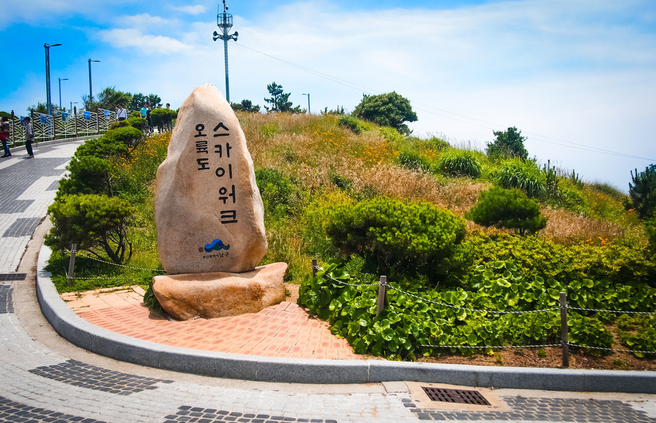 VIEW OF ROAD SIGN BY PLANTS