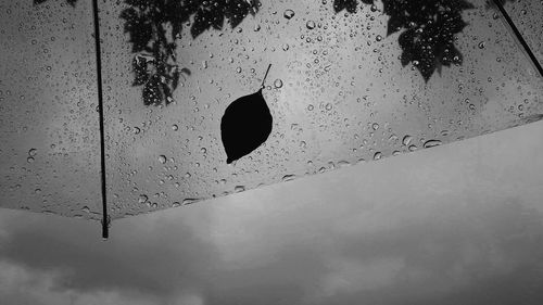 Low angle view of building