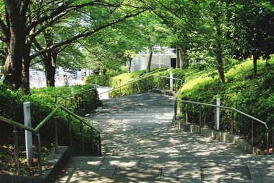 Empty footpath amidst trees and plants in park
