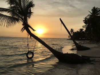 Silhouette tree on beach against sky during sunset