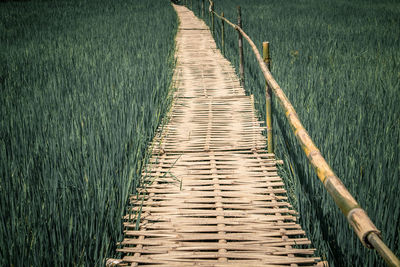 High angle view of wooden walkway amidst plants