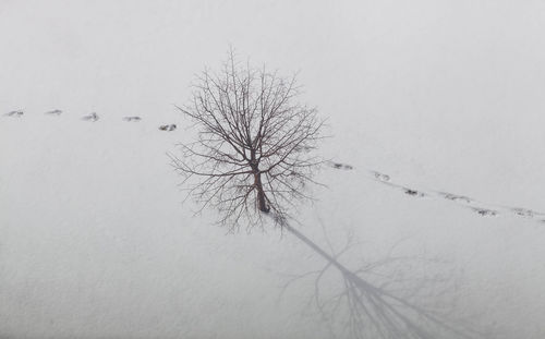 Close-up of water drops against sky