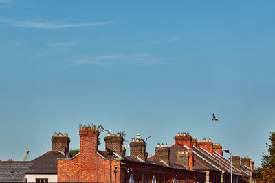 View of brick residential buildings against blue sky with bird flying