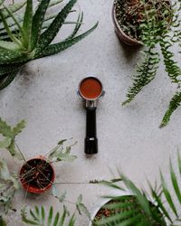 High angle view of coffee ground with potted plants on table