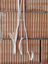 Close-up of metal hanging on table against wall