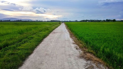 Road amidst agricultural field against sky