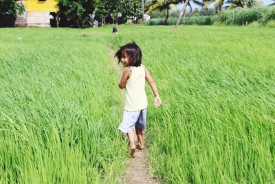 Rear view of woman walking on grassy field