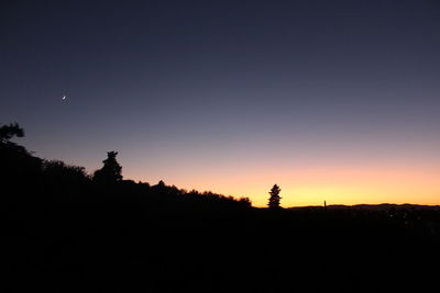 Silhouette trees against clear sky during sunset