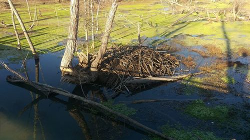 High angle view of birds in lake