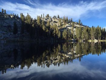 Reflection of trees in calm lake