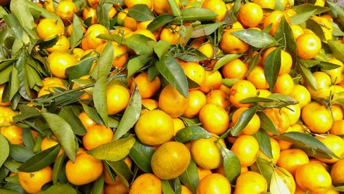 Full frame shot of oranges