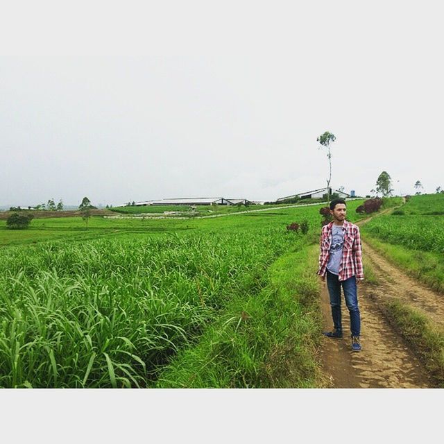 grass, lifestyles, field, leisure activity, full length, casual clothing, green color, rear view, standing, clear sky, landscape, grassy, copy space, growth, nature, boys, childhood, rural scene