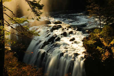 Scenic view of waterfall in forest