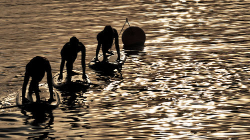 Silhouette people working in lake