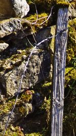 Stream flowing through rocks in forest