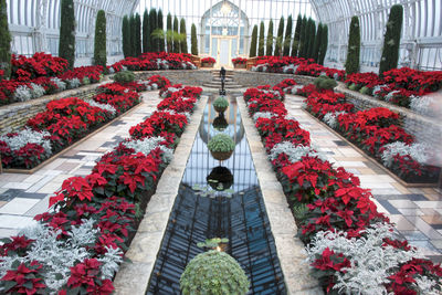 View of flowers and plants insde of building