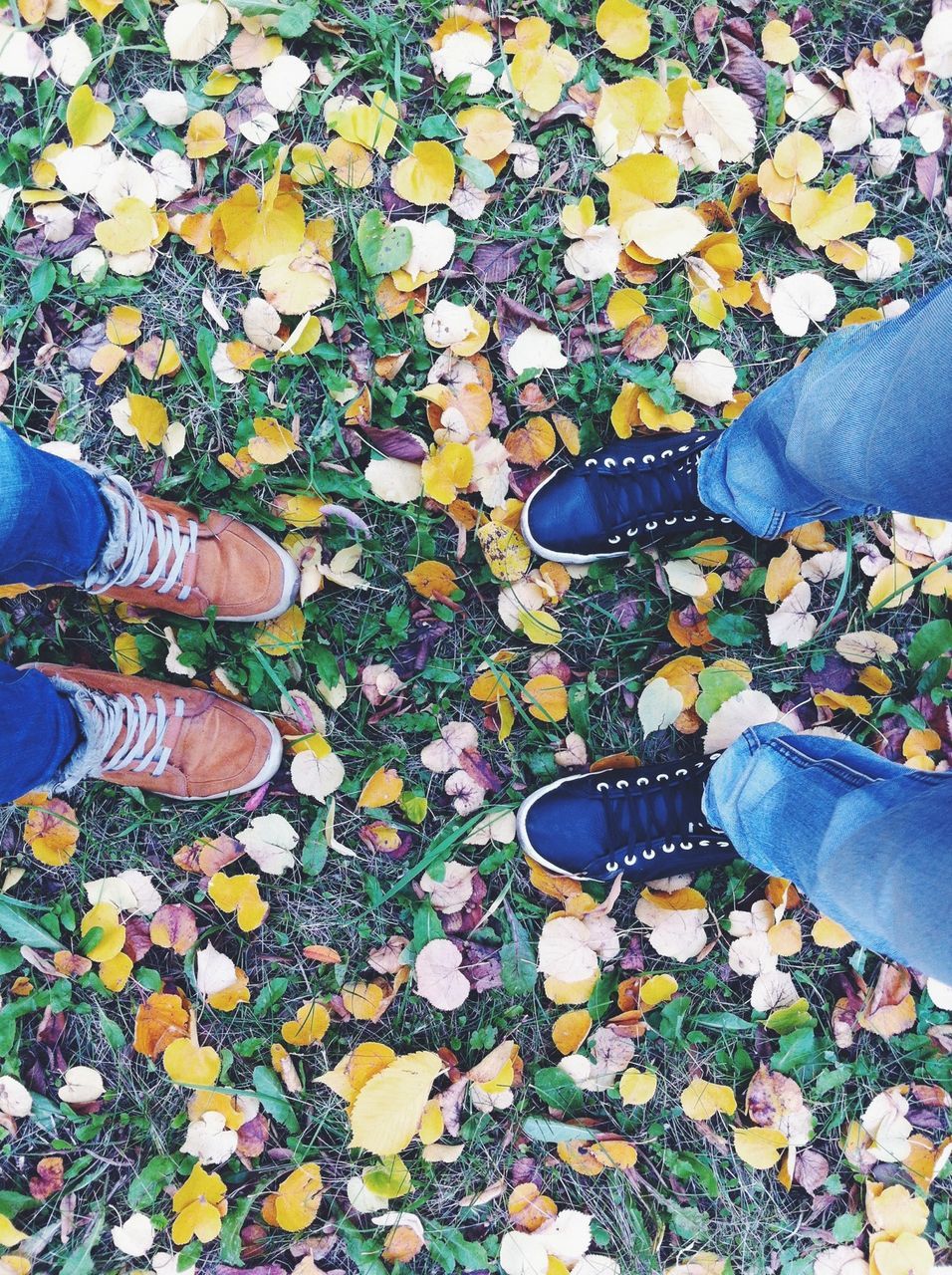 low section, person, shoe, personal perspective, footwear, high angle view, human foot, standing, lifestyles, leisure activity, autumn, directly above, men, leaf, jeans, unrecognizable person, canvas shoe