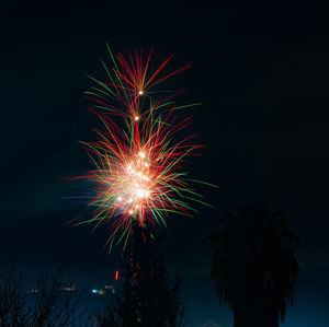 Low angle view of firework display at night