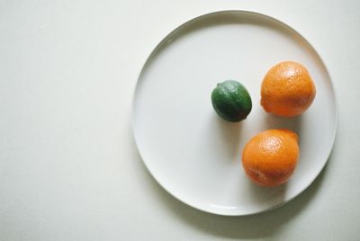 High angle view of fruits in plate against white background