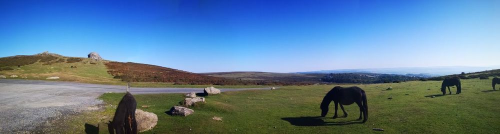 Scenic view of landscape against clear blue sky