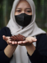 Close-up of hand holding pine cone