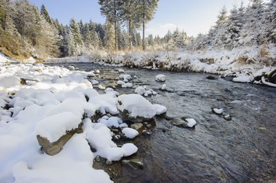 Snow covered land and trees during winter