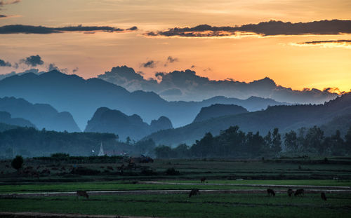 Scenic view of field against sky during sunset