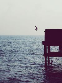 Silhouette man diving into sea from pier