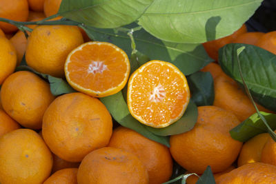 High angle view of fruits