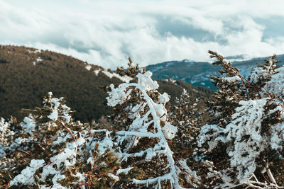 Snow covered land against sky