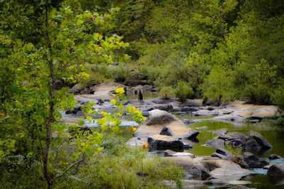 River flowing through rocks