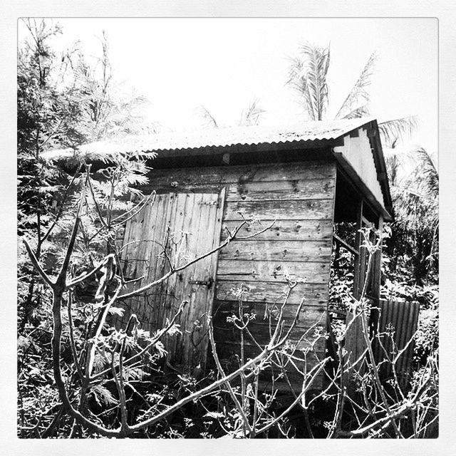 transfer print, built structure, abandoned, building exterior, house, architecture, auto post production filter, clear sky, wood - material, plant, old, tree, damaged, obsolete, bare tree, window, day, run-down, deterioration, outdoors